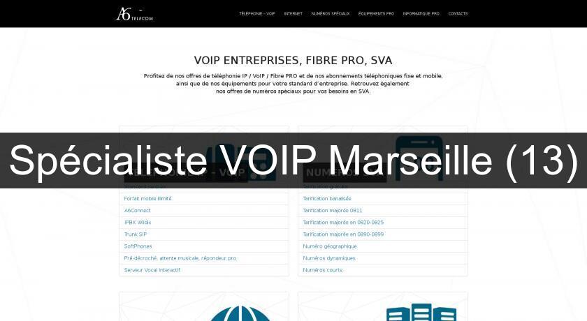 Spécialiste VOIP Marseille (13)