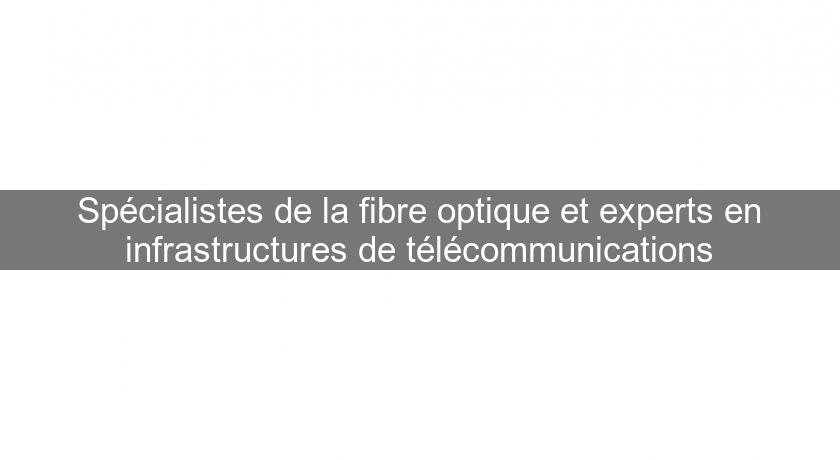 Spécialistes de la fibre optique et experts en infrastructures de télécommunications Spécialistes de la fibre optique et experts en infrastructures de télécommunications