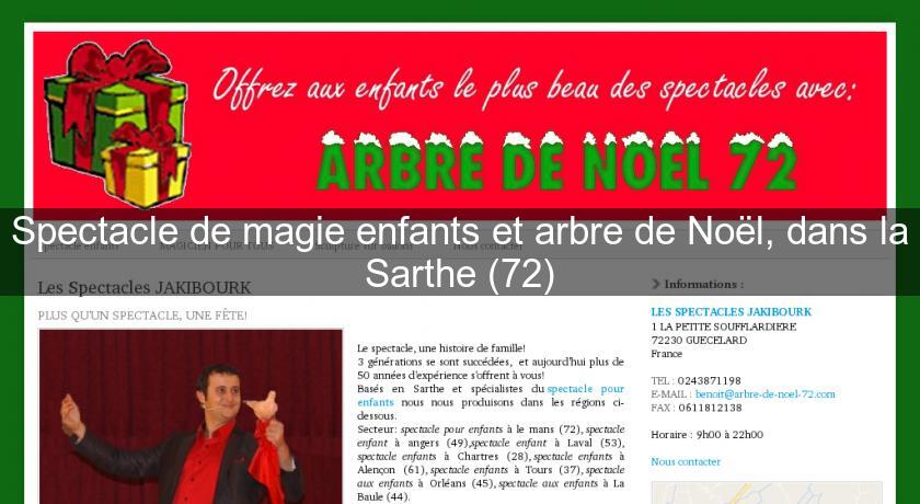 Spectacle de magie enfants et arbre de Noël, dans la Sarthe (72)