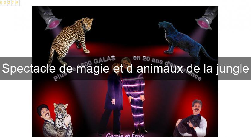 Spectacle de magie et d'animaux de la jungle