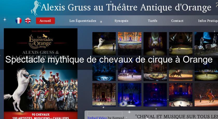 Spectacle mythique de chevaux de cirque à Orange Spectacle mythique de chevaux de cirque à Orange