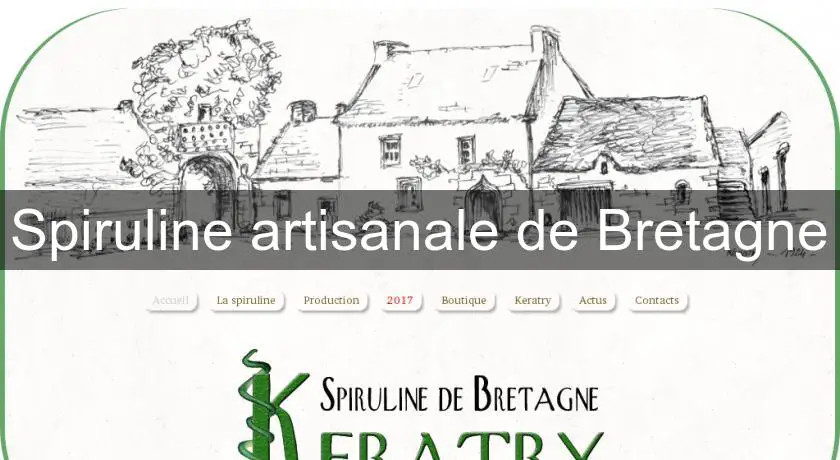 Spiruline artisanale de Bretagne