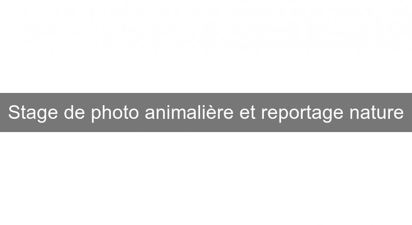 Stage de photo animalière et reportage nature