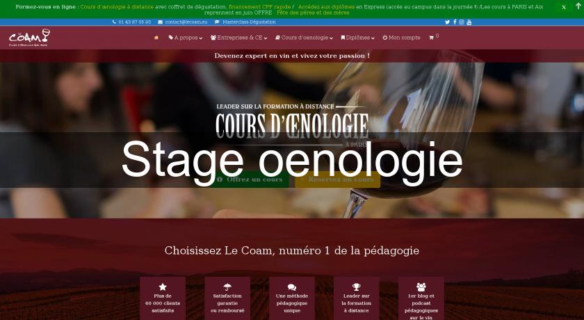 Stage oenologie