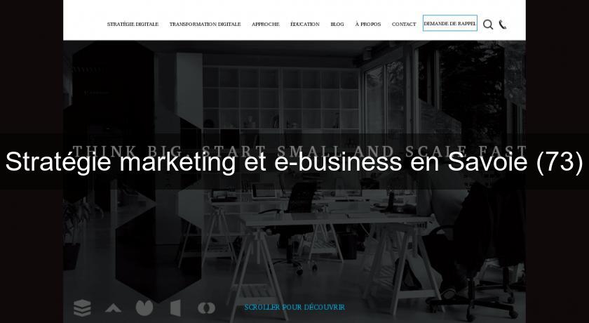 Stratégie marketing et e-business en Savoie (73) Stratégie marketing et e-business en Savoie (73)