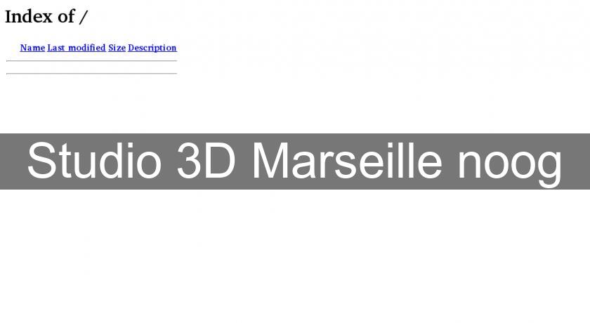 Studio 3D Marseille noog Studio 3D Marseille noog