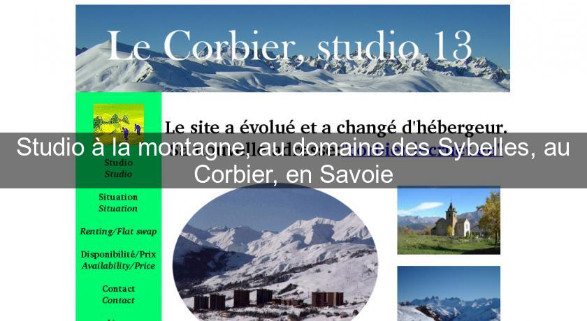Studio à la montagne, au domaine des Sybelles, au Corbier, en Savoie