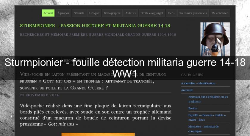 Sturmpionier - fouille détection militaria guerre 14-18 WW1