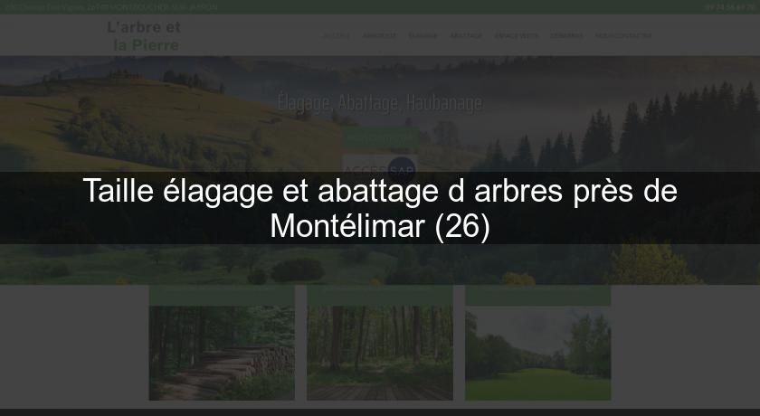 Taille élagage et abattage d'arbres près de Montélimar (26) Taille élagage et abattage d'arbres près de Montélimar (26)