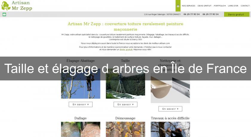 Taille et élagage d'arbres en Île de France Taille et élagage d'arbres en Île de France