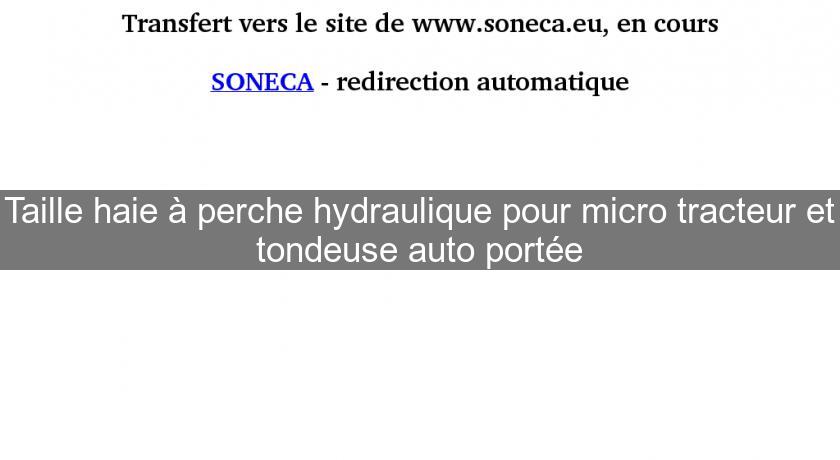 Taille haie à perche hydraulique pour micro tracteur et tondeuse auto portée