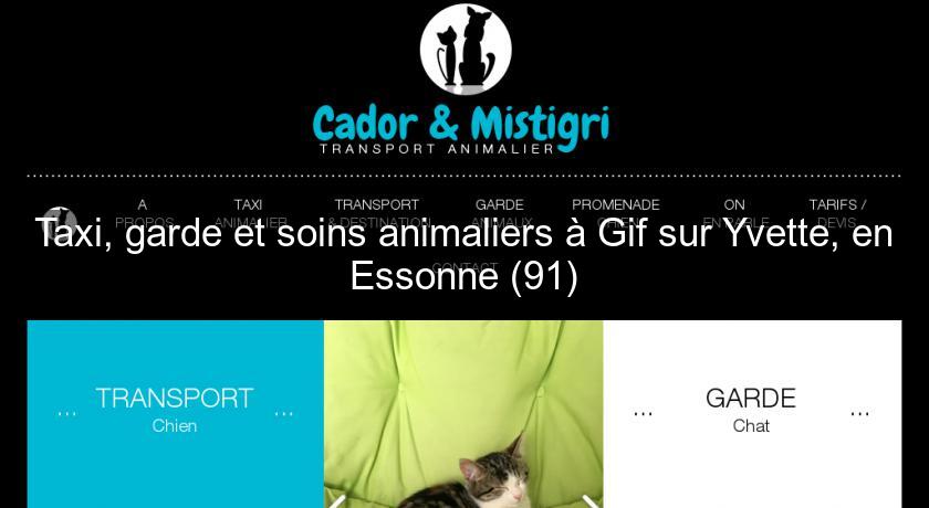 Taxi, garde et soins animaliers à Gif sur Yvette, en Essonne (91) Taxi, garde et soins animaliers à Gif sur Yvette, en Essonne (91)