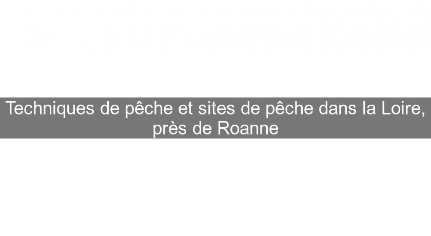 Techniques de pêche et sites de pêche dans la Loire, près de Roanne