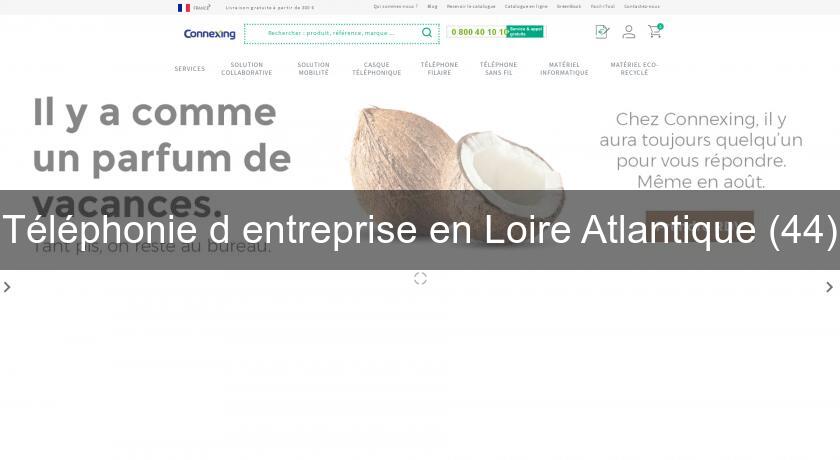 Téléphonie d'entreprise en Loire Atlantique (44)