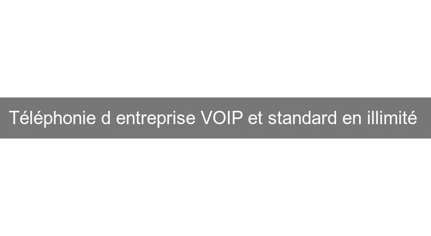 Téléphonie d'entreprise VOIP et standard en illimité 