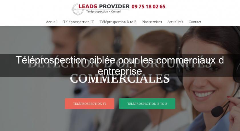 Téléprospection ciblée pour les commerciaux d'entreprise Téléprospection ciblée pour les commerciaux d'entreprise