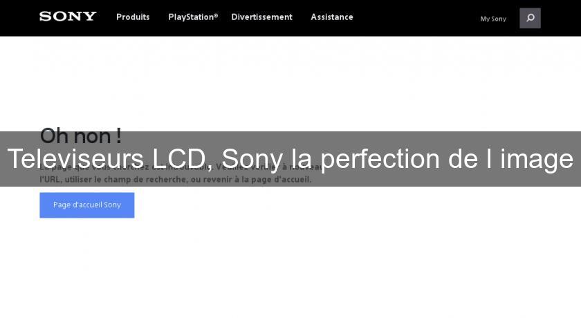 Televiseurs LCD, Sony la perfection de l'image