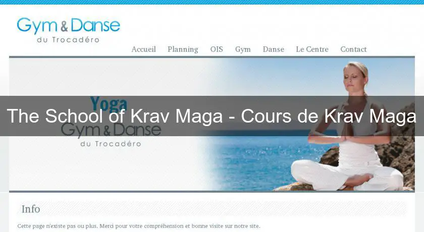 The School of Krav Maga - Cours de Krav Maga