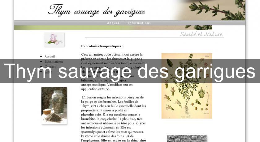 Thym sauvage des garrigues Thym sauvage des garrigues