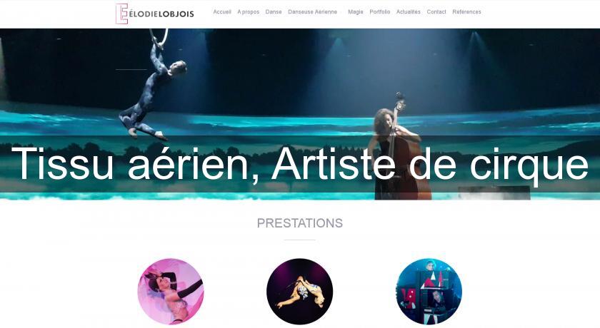 Tissu aérien, Artiste de cirque Tissu aérien, Artiste de cirque