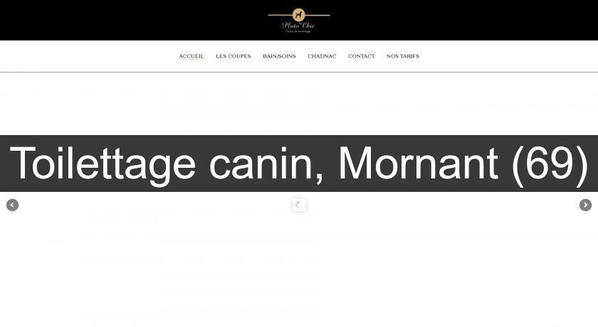 Toilettage canin, Mornant (69) Toilettage canin, Mornant (69)