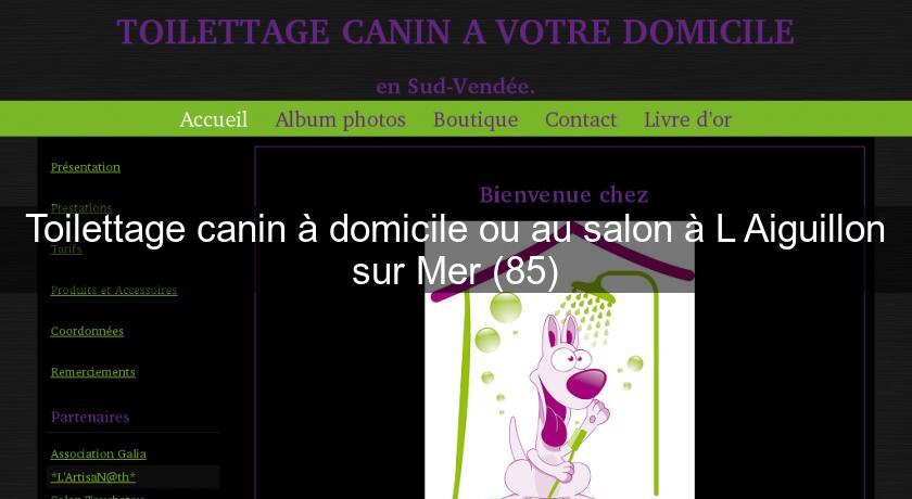 Toilettage canin à domicile ou au salon à L'Aiguillon sur Mer (85)