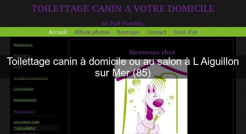 Toilettage canin à domicile ou au salon à L'Aiguillon sur Mer (85) Toilettage canin à domicile ou au salon à L'Aiguillon sur Mer (85)