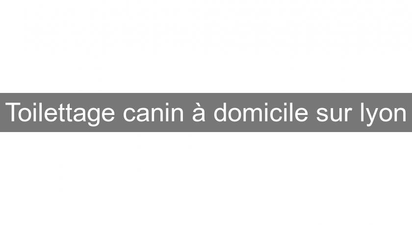 Toilettage canin à domicile sur lyon Toilettage canin à domicile sur lyon