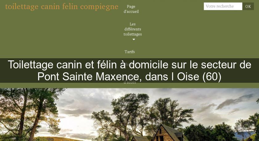 Toilettage canin et félin à domicile sur le secteur de Pont Sainte Maxence, dans l'Oise (60) Toilettage canin et félin à domicile sur le secteur de Pont Sainte Maxence, dans l'Oise (60)