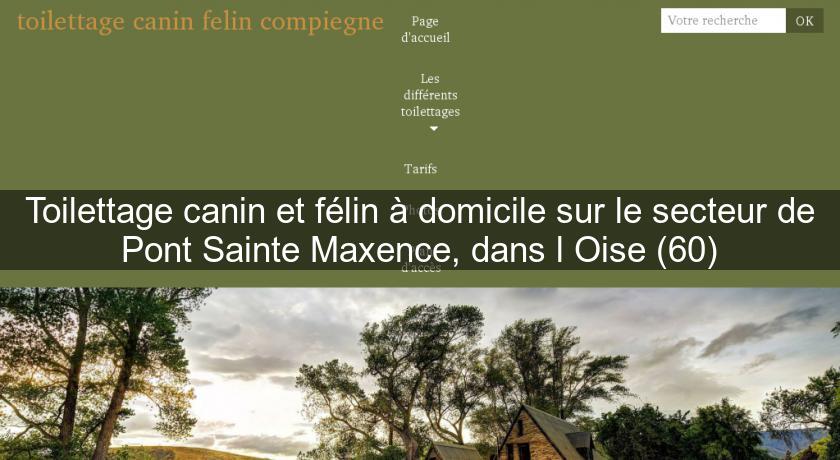 Toilettage canin et félin à domicile sur le secteur de Pont Sainte Maxence, dans l'Oise (60)