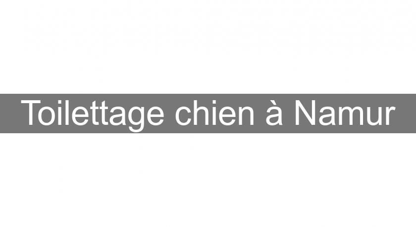 Toilettage chien à Namur Toilettage chien à Namur
