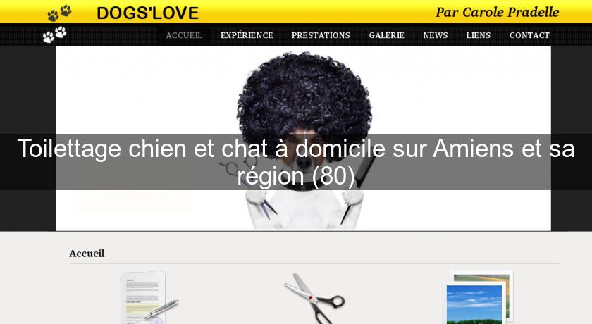 Toilettage Chien Et Chat A Domicile Sur Amiens Et Sa Region 80 Chien
