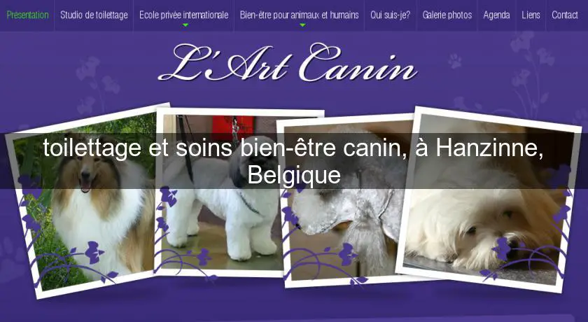 toilettage et soins bien-être canin, à Hanzinne, Belgique
