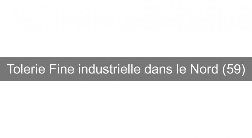 Tolerie Fine industrielle dans le Nord (59) Tolerie Fine industrielle dans le Nord (59)