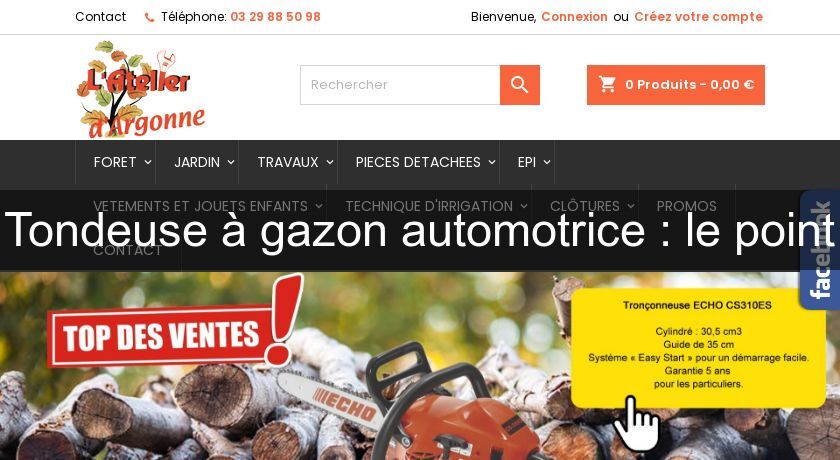 Tondeuse à gazon automotrice : le point Tondeuse à gazon automotrice : le point