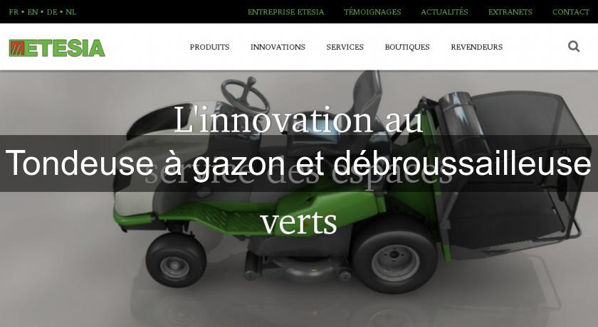 Tondeuse à gazon et débroussailleuse Tondeuse à gazon et débroussailleuse