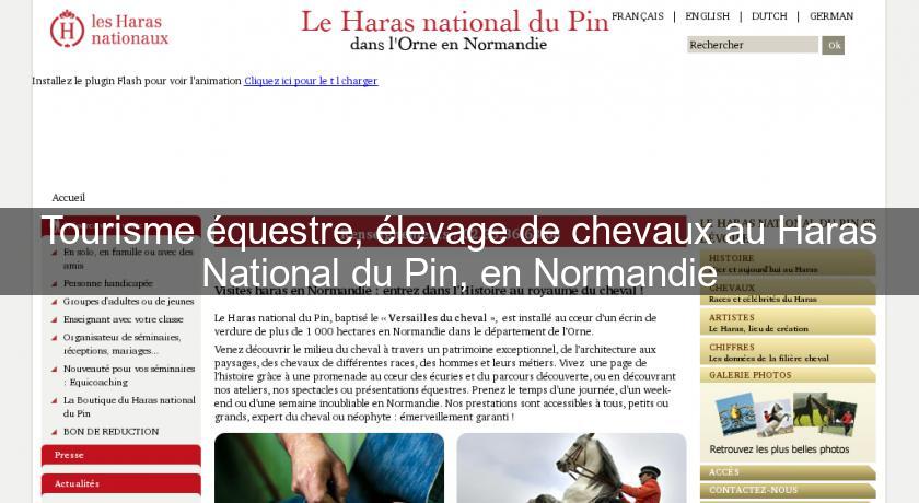 Tourisme équestre, élevage de chevaux au Haras National du Pin, en Normandie Tourisme équestre, élevage de chevaux au Haras National du Pin, en Normandie