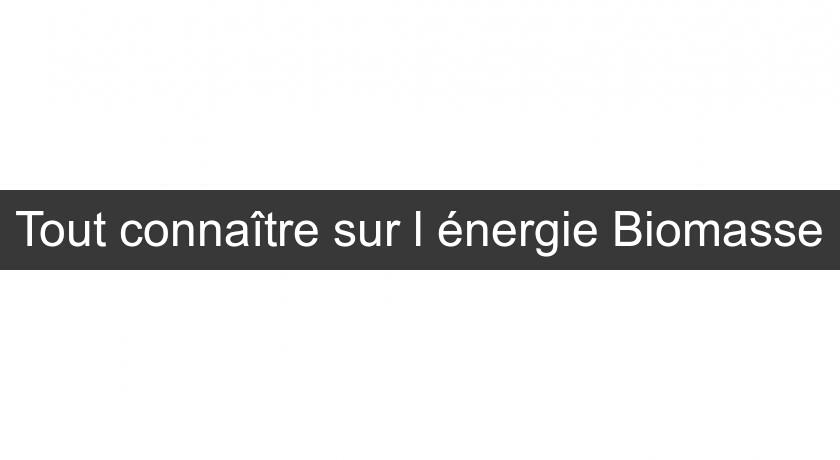 Tout connaître sur l'énergie Biomasse Tout connaître sur l'énergie Biomasse