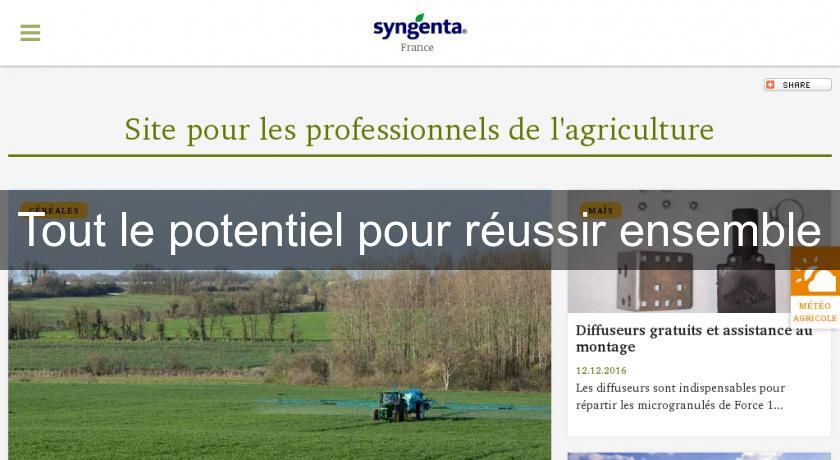 Tout le potentiel pour réussir ensemble Tout le potentiel pour réussir ensemble