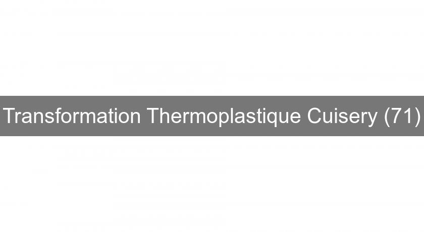 Transformation Thermoplastique Cuisery (71)