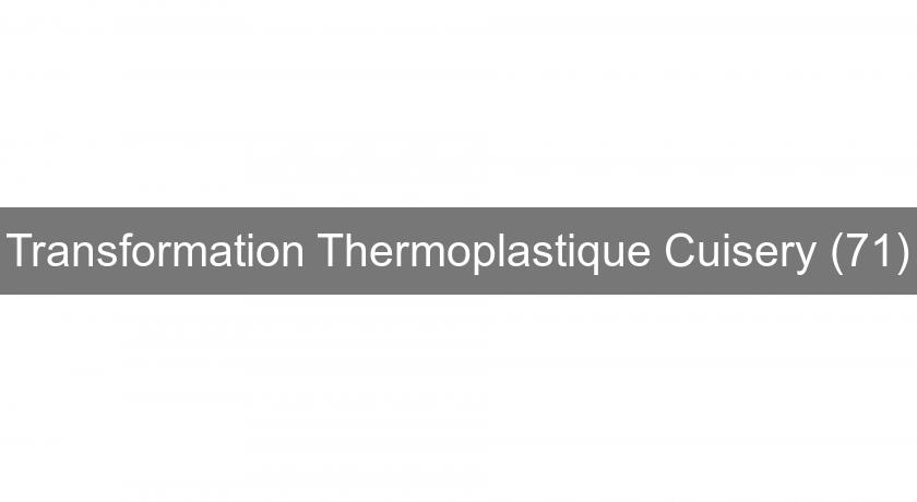 Transformation Thermoplastique Cuisery (71) Transformation Thermoplastique Cuisery (71)