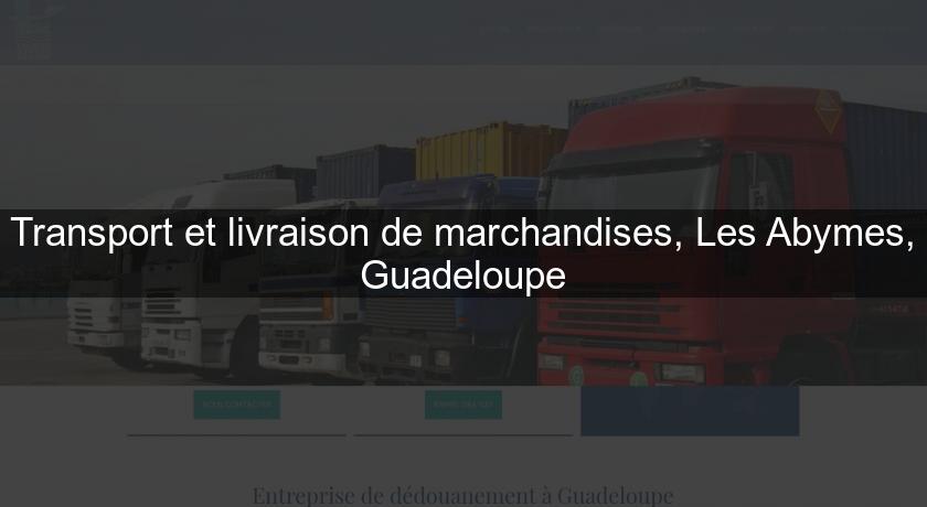 Transport et livraison de marchandises, Les Abymes, Guadeloupe