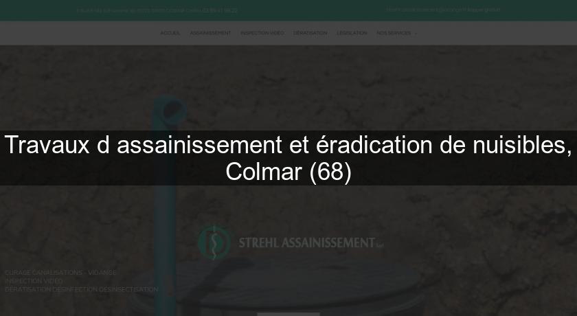 Travaux d'assainissement et éradication de nuisibles, Colmar (68) Travaux d'assainissement et éradication de nuisibles, Colmar (68)