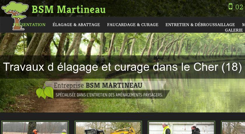 Travaux d'élagage et curage dans le Cher (18) Travaux d'élagage et curage dans le Cher (18)