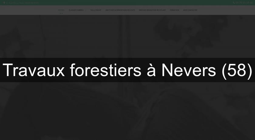 Travaux forestiers à Nevers (58)