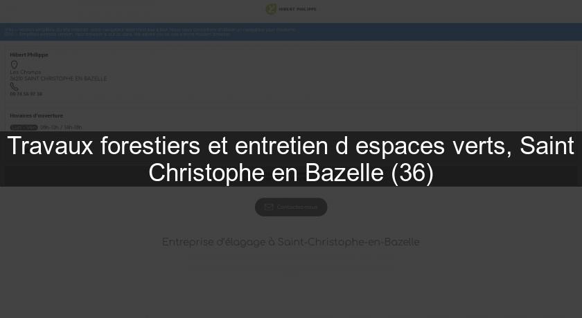 Travaux forestiers et entretien d'espaces verts, Saint Christophe en Bazelle (36) Travaux forestiers et entretien d'espaces verts, Saint Christophe en Bazelle (36)