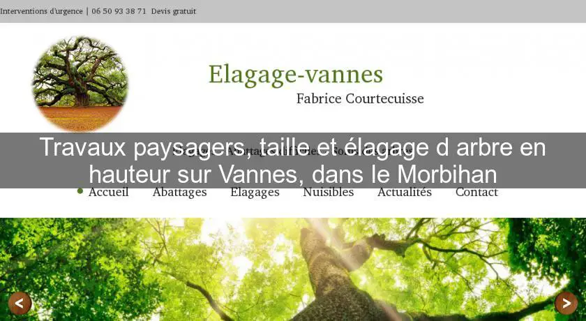 Travaux paysagers, taille et élagage d'arbre en hauteur sur Vannes, dans le Morbihan