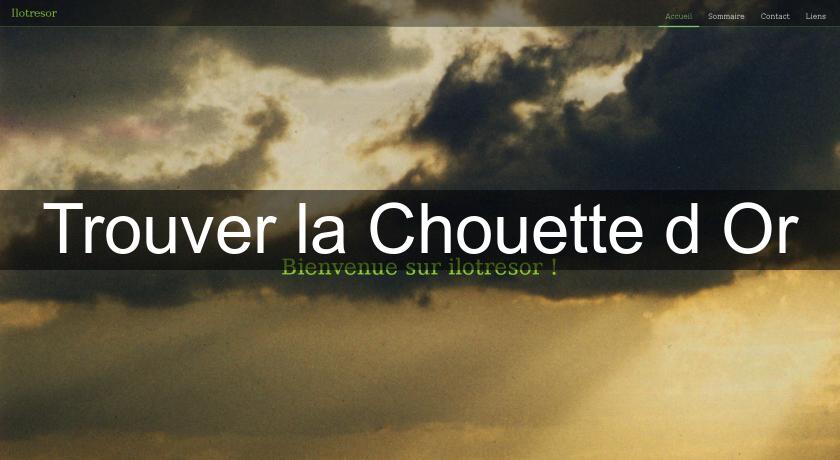 Trouver la Chouette d'Or Trouver la Chouette d'Or