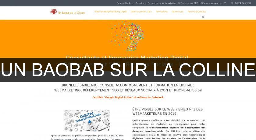 UN BAOBAB SUR LA COLLINE UN BAOBAB SUR LA COLLINE