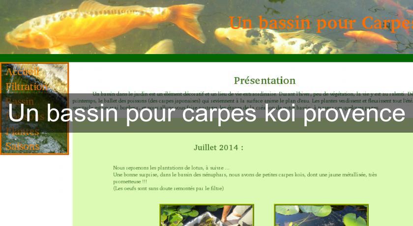 Un bassin pour carpes koi provence Un bassin pour carpes koi provence